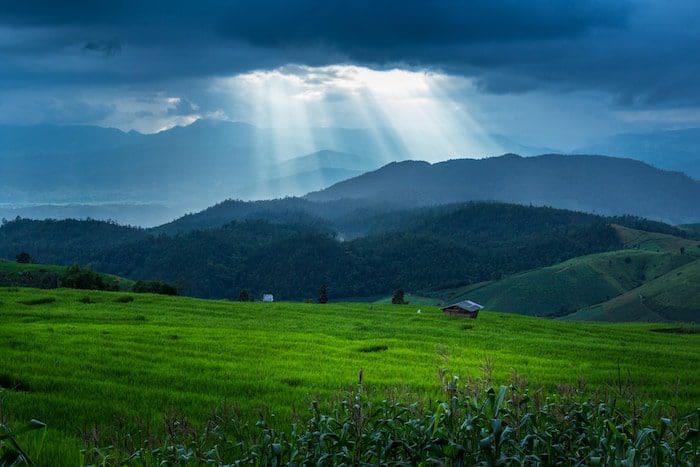 How to invest in agriculture in the Philippines