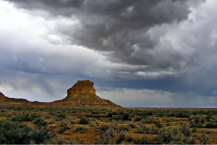 New Mexico anonymous LLC