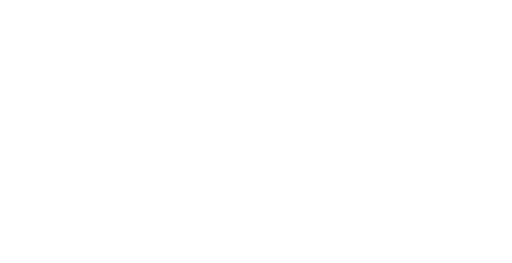 Nomad Capitalist Logo