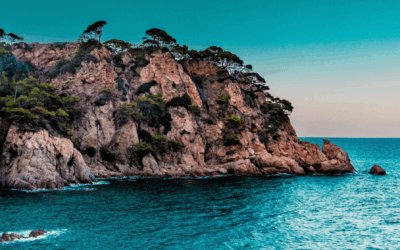 10 Easiest Countries to Immigrate to: Passports for Investors and Professionals