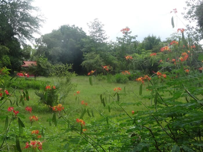 Pol Pot's Choeung Ek Killing Fields and government tyranny