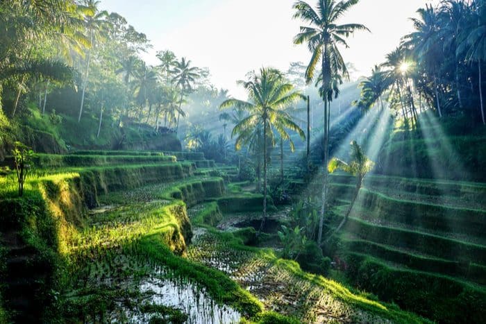 Most livable cities in Southeast Asia Bali Indonesia