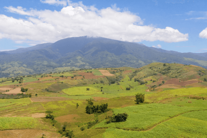 THE CURRENT STATE OF PHILIPPINE AGRICULTURE SECTOR