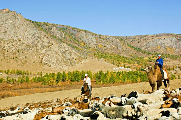 High interest rates in Mongolia banks