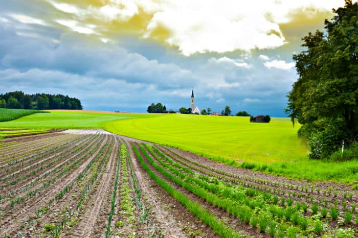How to invest in agriculture