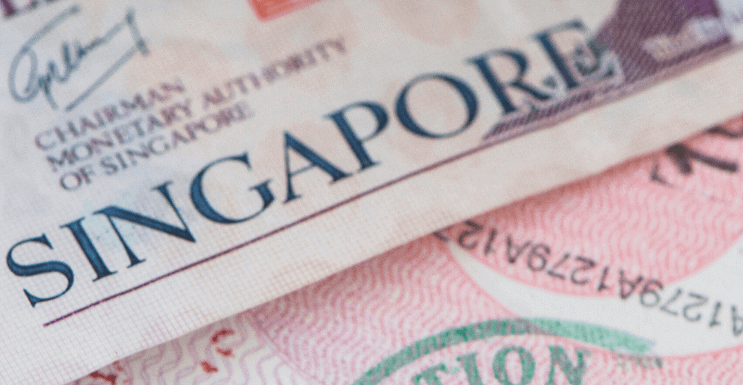 How To Get PR and Citizenship in Singapore With a Business or Investment