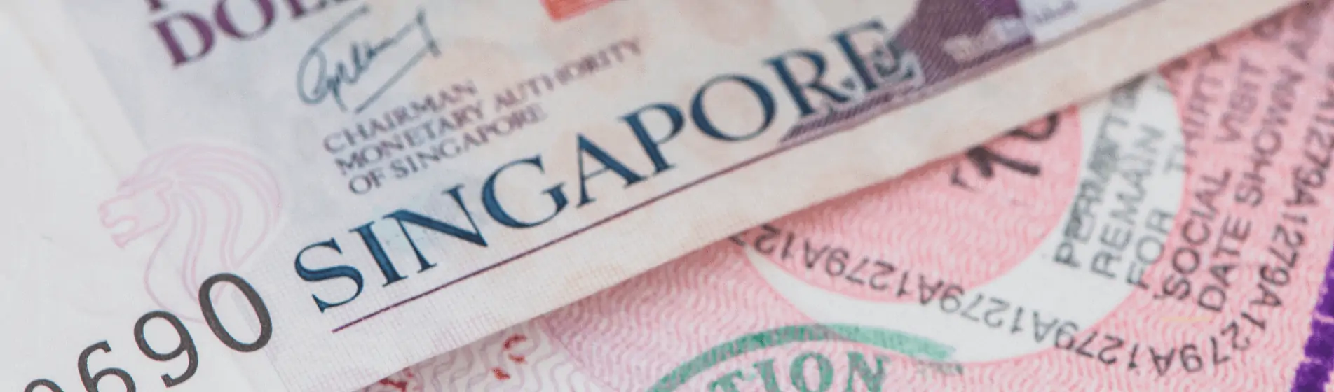 How to get PR and citizenship in Singapore with a business or investment