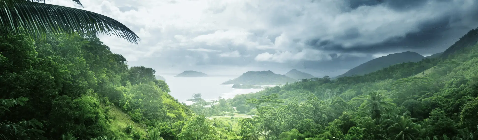 6 Offshore Jurisdictions for Companies to Avoid in 2021