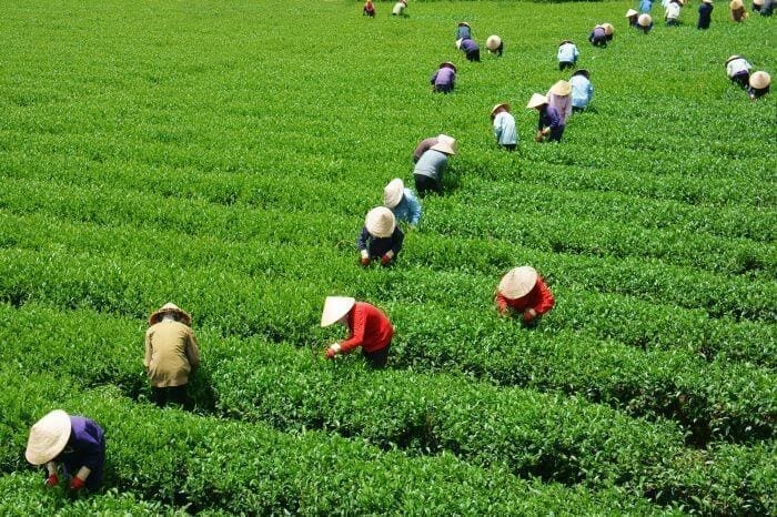 The big benefits of doing business in Southeast Asia