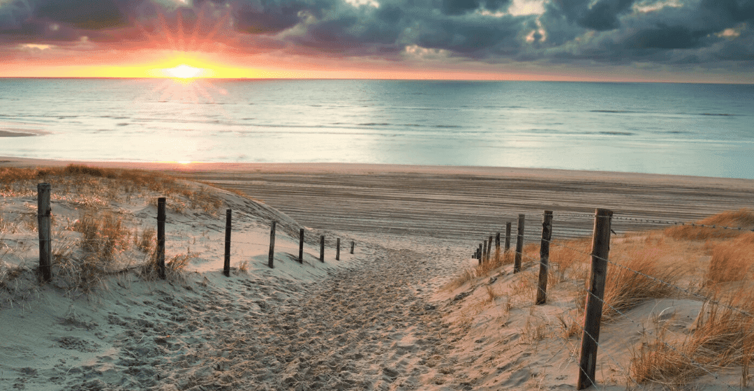 Offshore Case Studies: Helping Cameron find the path offshore