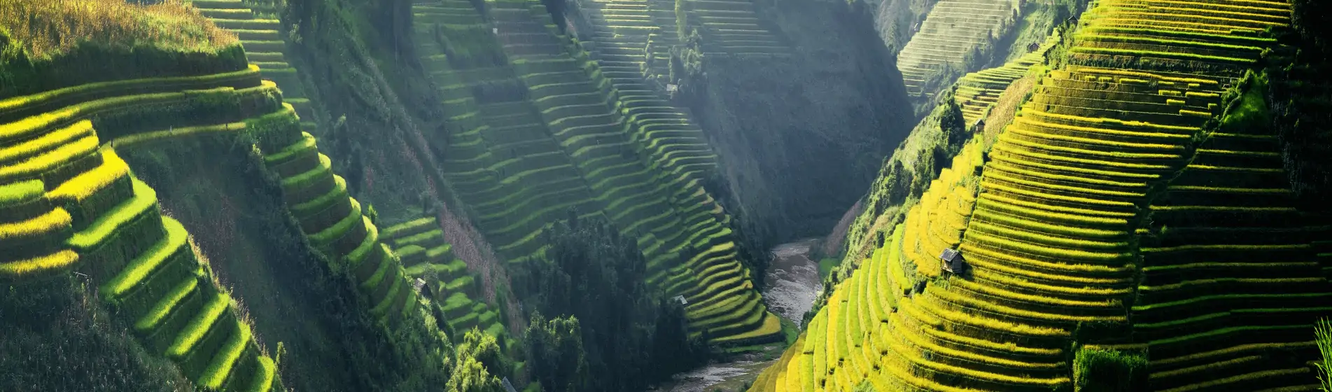 How to invest in Asia Emerging market investment strategies