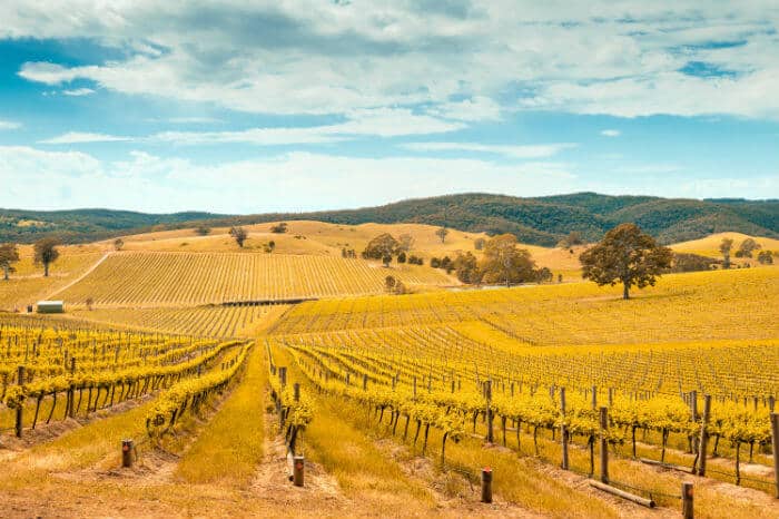 australiskt medborgarskap och naturresurser