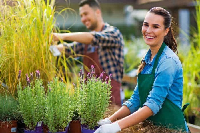 US E-2 Business Visa Employees