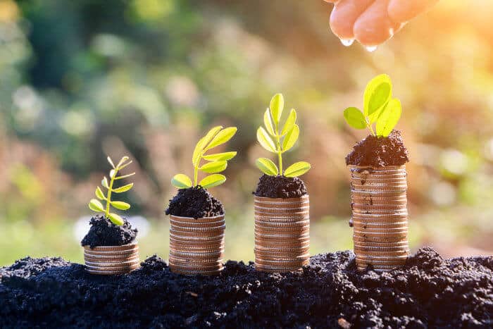 Tax-Friendly Businesses to Start for New Entrepreneurs