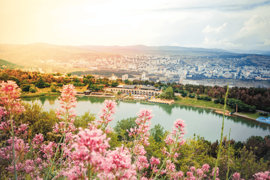 Tbilisi Georgia International Real Estate