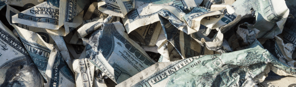 AMERICAN FIAT CURRENCY MADE THEM PATRIOTIC… AND BROKE