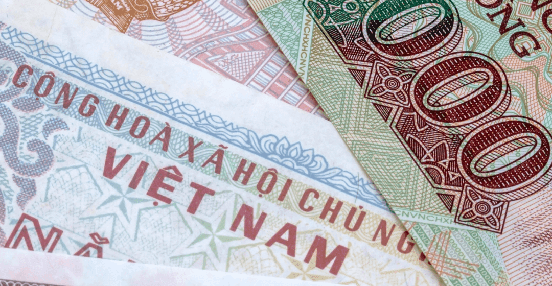 Banking in Vietnam Dong: Fiat Currency Russian Roulette