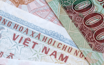 Banking in Vietnam Dong: Fiat Currency Russian Roulette