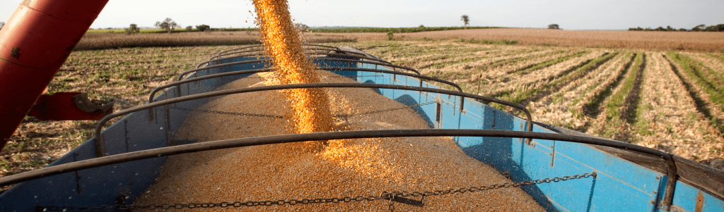 BUYING FARMLAND IN PARAGUAY URUGUAY AND BRAZIL