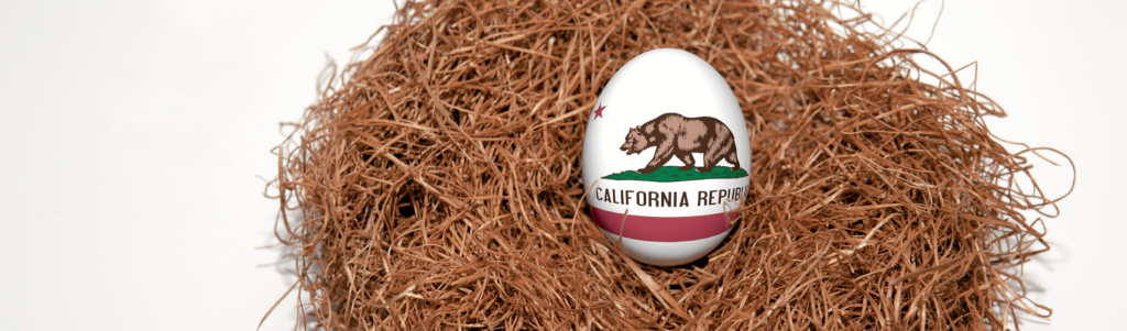 California and other unsafe government pension disasters