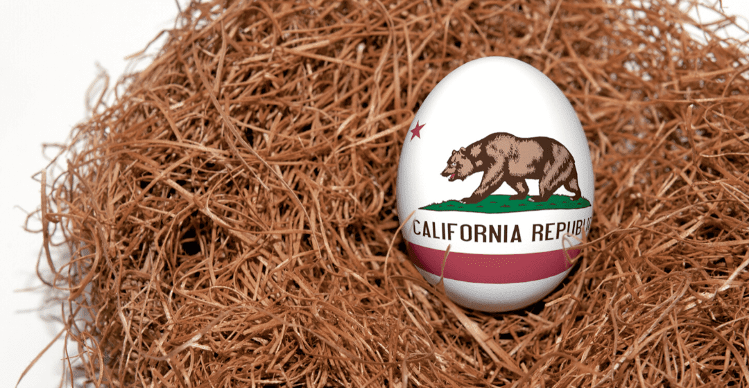 California and other unsafe government pension disasters