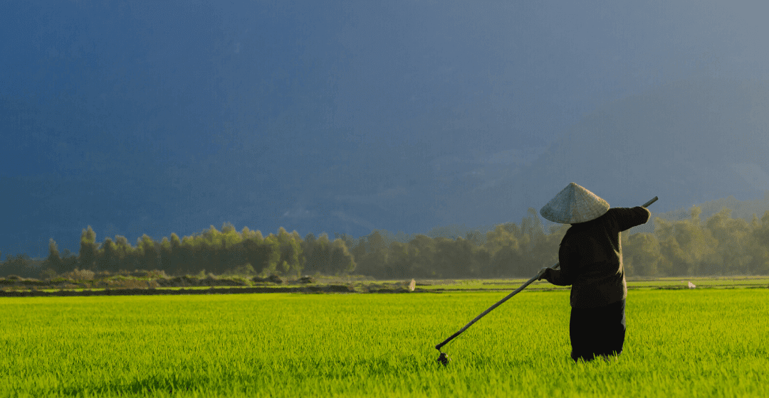 Death of the West: This is why the western world is doomed