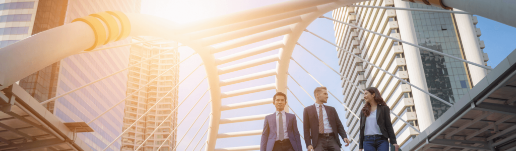 FLAG THEORY STRATEGIES FOR EXPATS TO BREAK FREE FROM THE TAXMAN