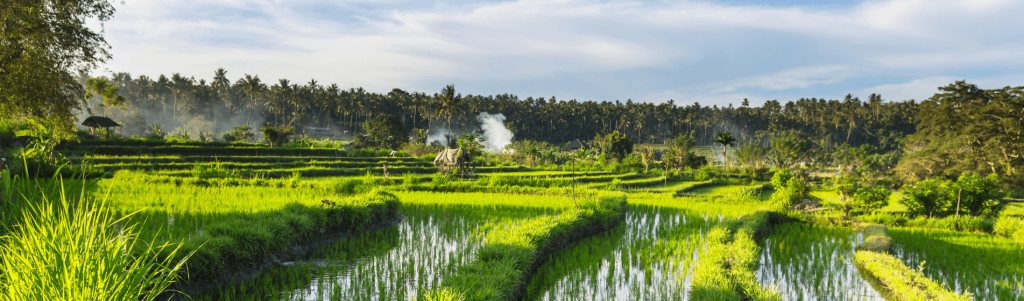 FREEDOM FROM REGULATION IS BENEFIT OF LIVING IN POOR COUNTRIES