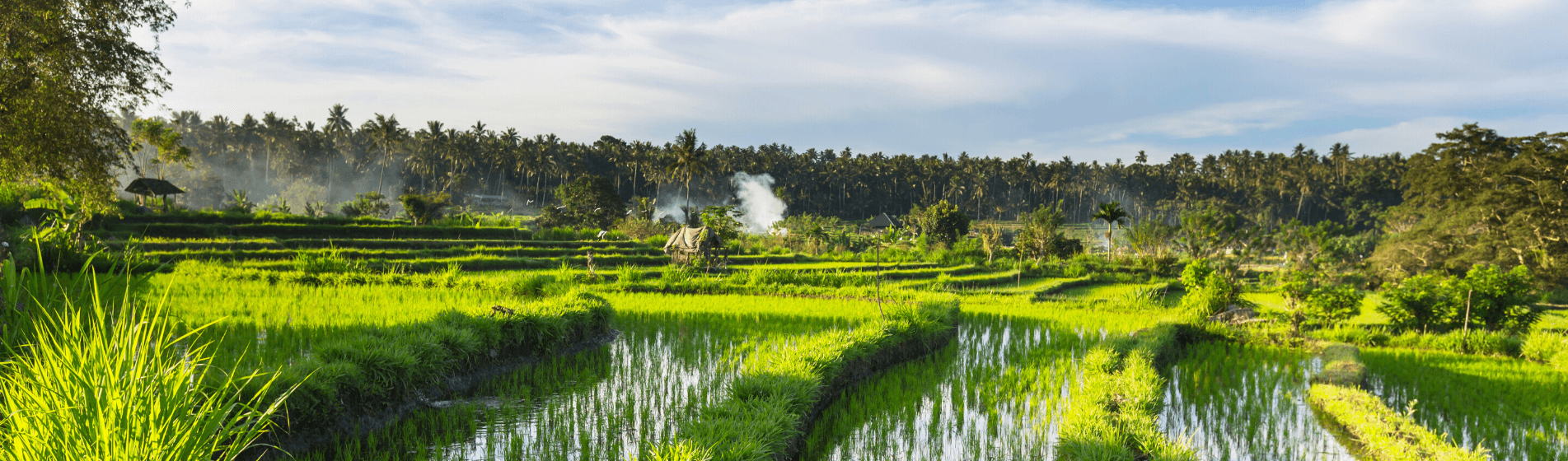 FREEDOM FROM REGULATION IS BENEFIT OF LIVING IN POOR COUNTRIES
