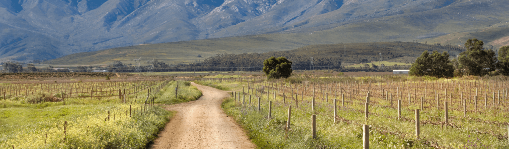 HOW GOVERNMENTS STEAL LAND AND STOP FOREIGN INVESTMENT