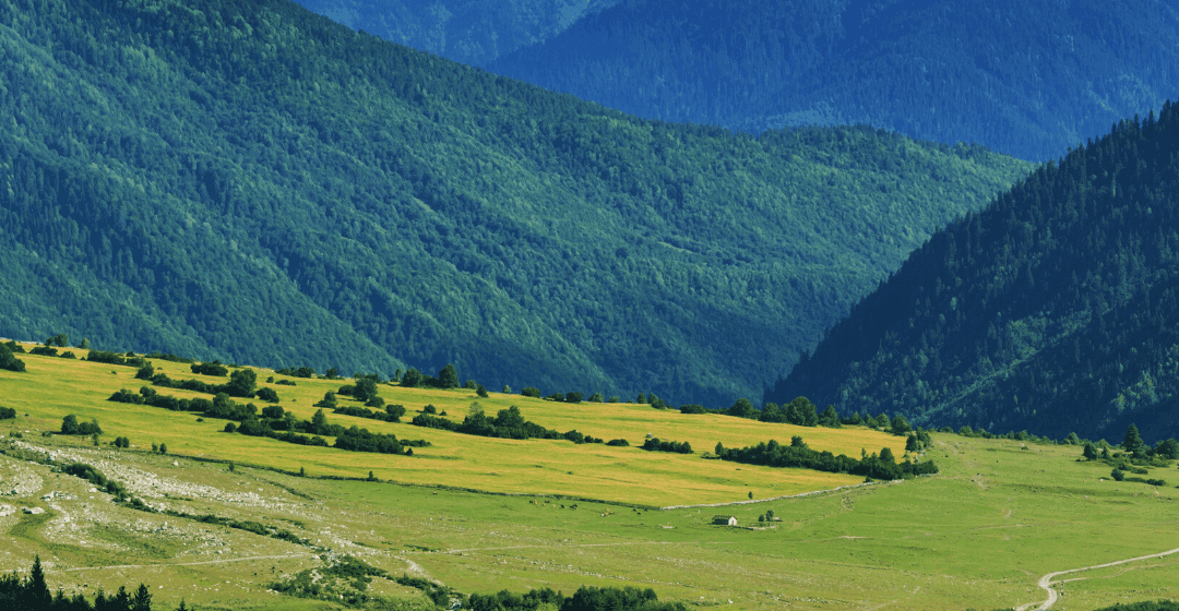 How I bought a cattle ranch in Georgia for $14,000