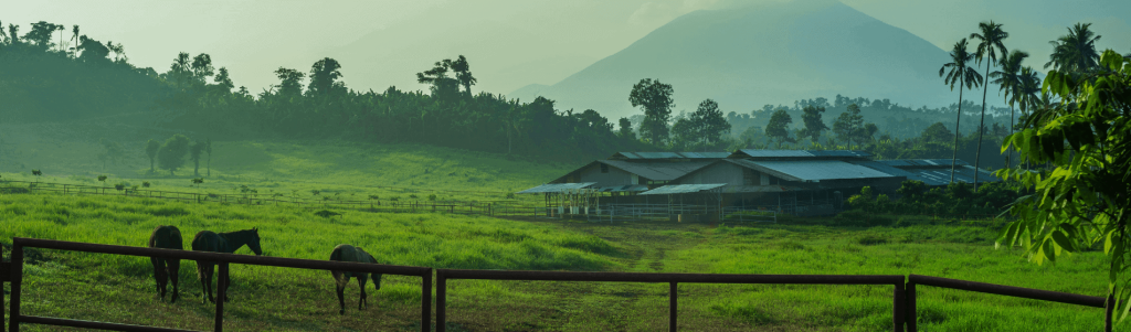 HOW TO INVEST IN AGRICULTURE IN THE PHILIPPINES WITHOUT GETTING DIRTY