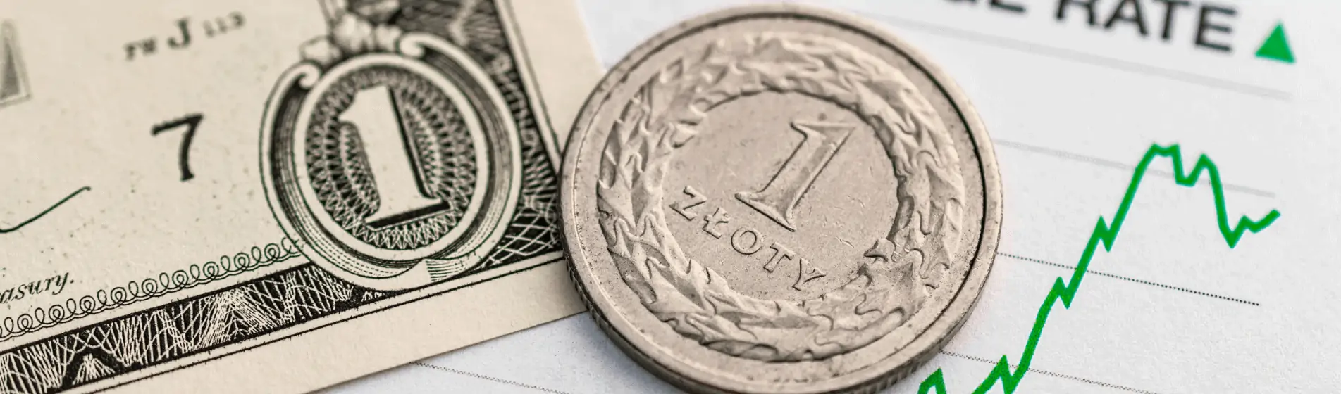 IRS Currency Exchange Rates for Expat Tax Returns