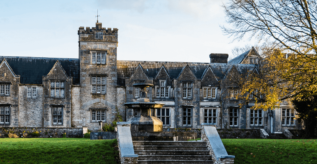 Is Irish Residency Possible After Business Visa Suspension?