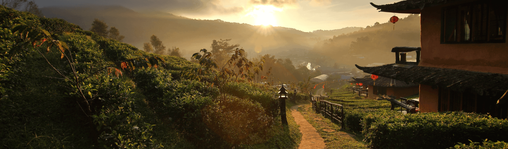 IS LIVING IN THAILAND A BASTION OF FREEDOM FOR EXPATS