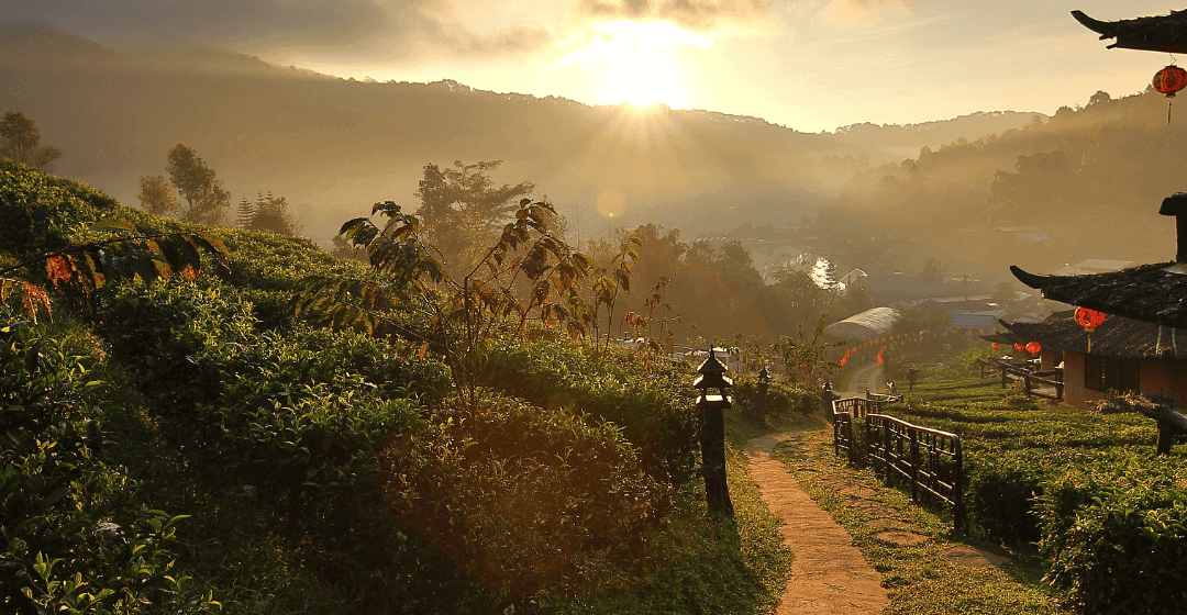 Is living in Thailand a bastion of freedom for expats?