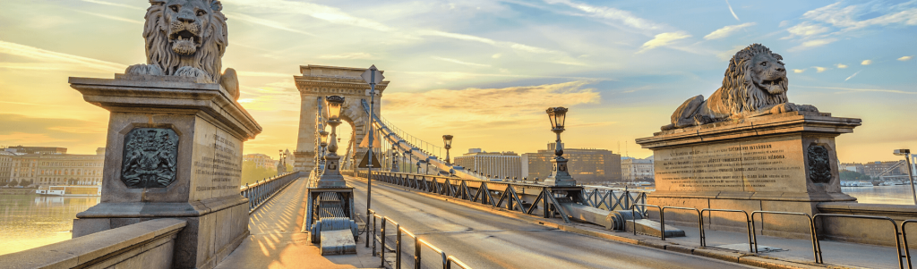 LESSONS FROM HUNGARY ON THE COMING ECONOMIC COLLAPSE