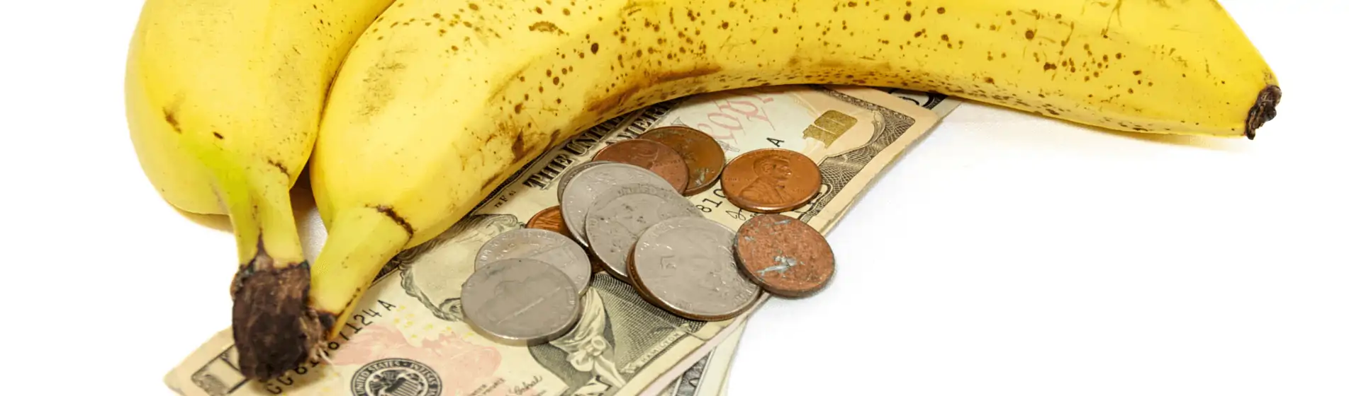 NO INFLATION HERE US DOLLARS DOWN 72% VS. THE PRICE OF BANANAS