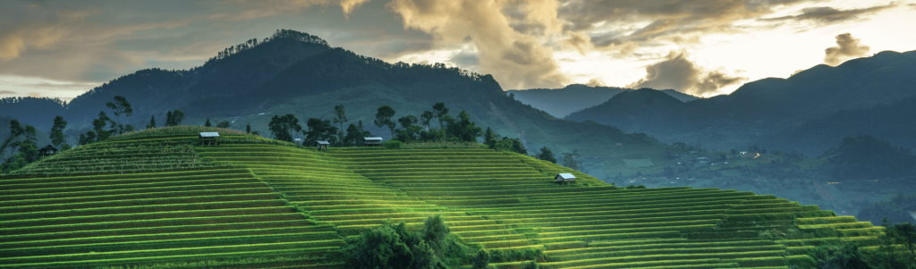 NOMAD GUIDE TO LIVING IN BALI INDONESIA