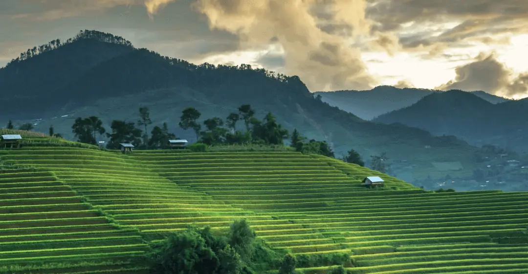 The Full Nomad Guide to Living in Bali, Indonesia