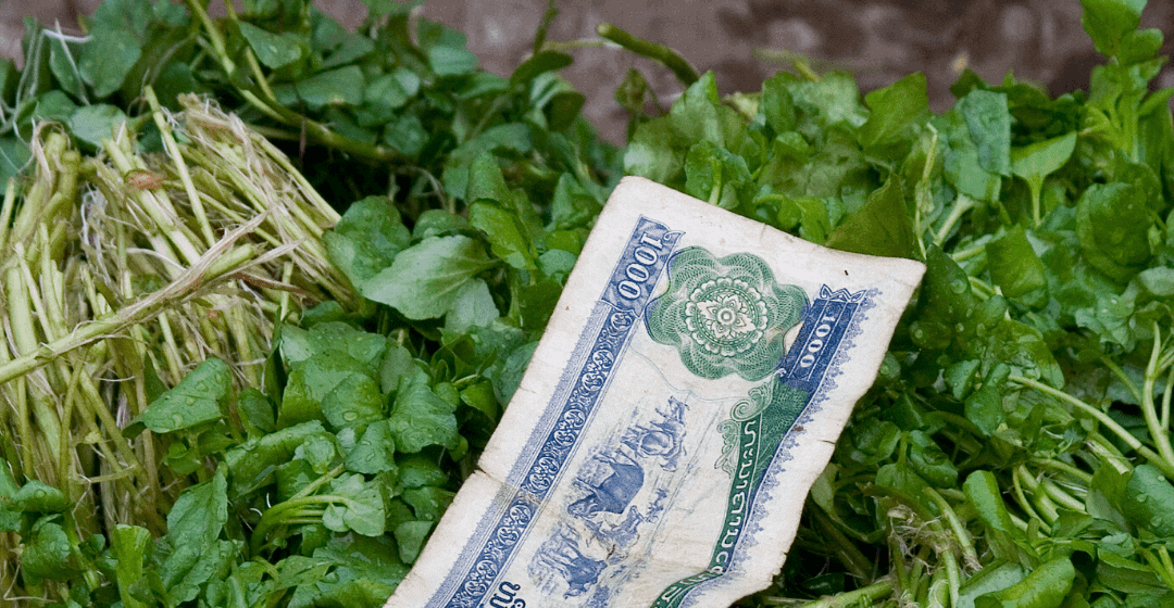 Potential risks of doing business in a frontier market like Laos