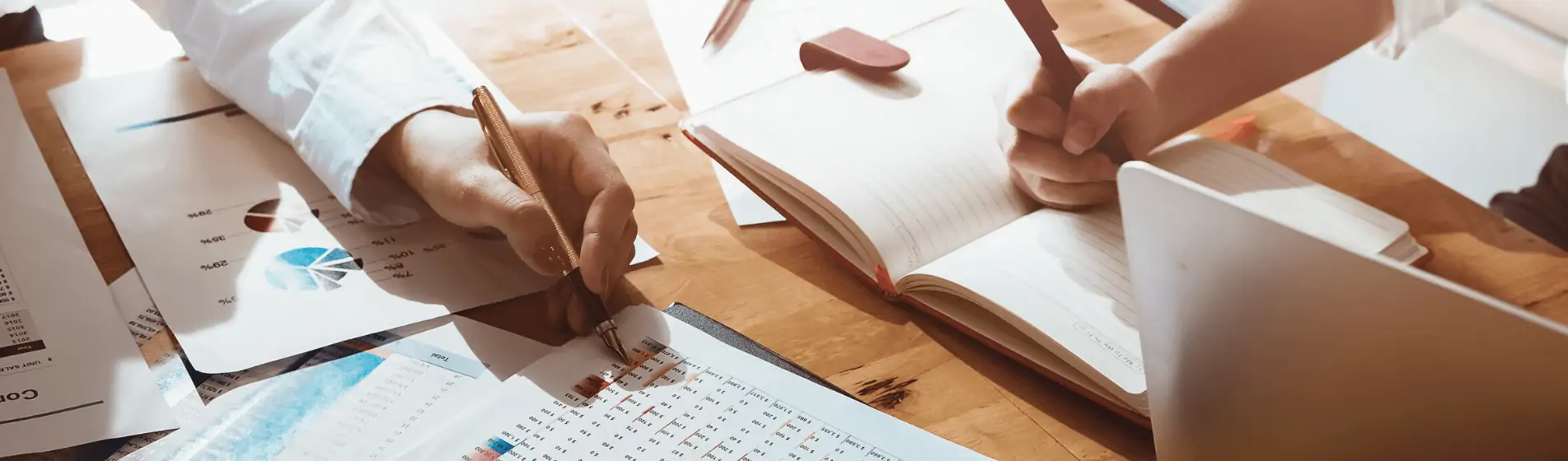 S Corp vs LLC: What Expat Business Owners Must Know
