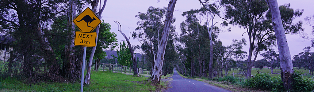 THE AUSTRALIAN TAX RESIDENCY TEST ARE YOU AN EXPAT OR A RESIDENT