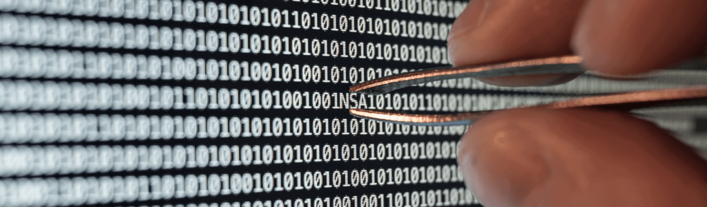 THE PIED PIPERS OF CYBER CRIME THE NSA BACKDOOR TO ENCRYPTION