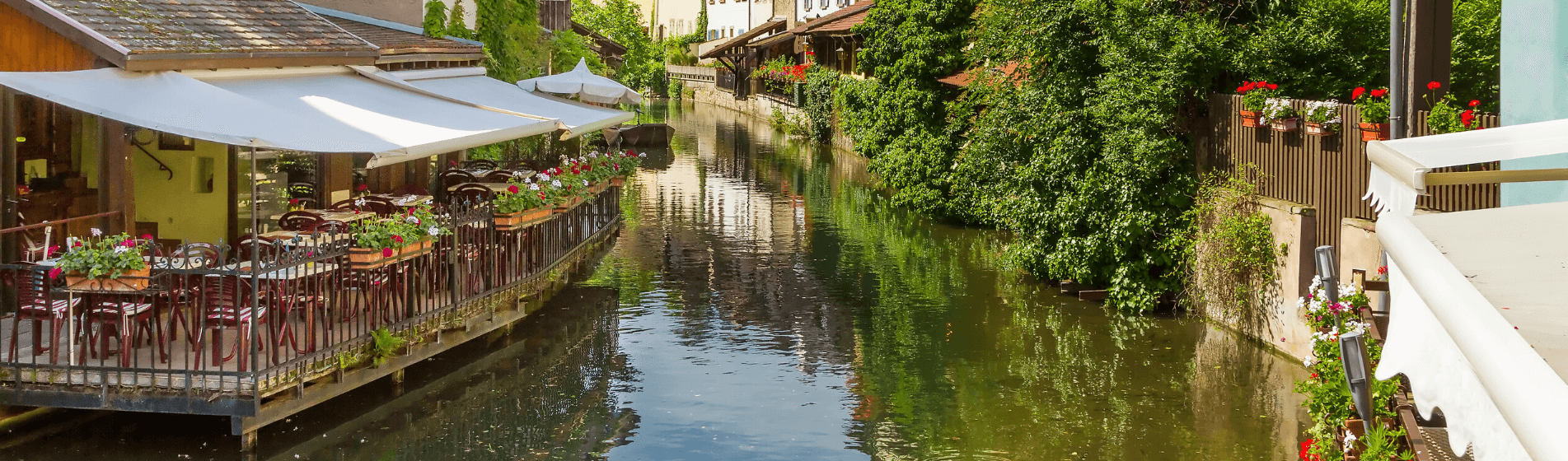 WHAT IF BEING AN EXPAT IS WRONG FOR YOU