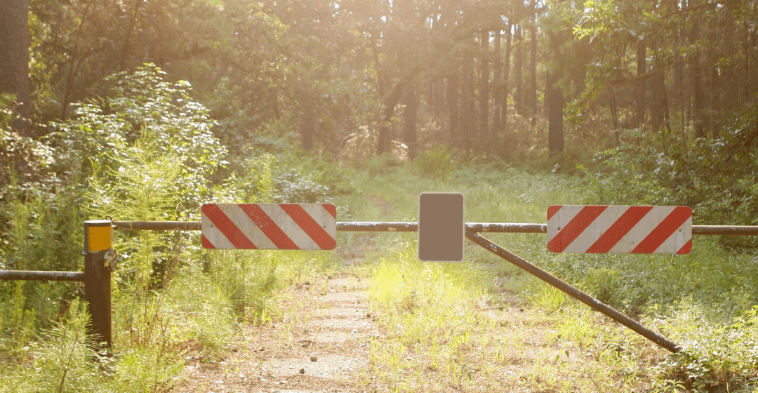 Who owns your citizenship: you or your government?