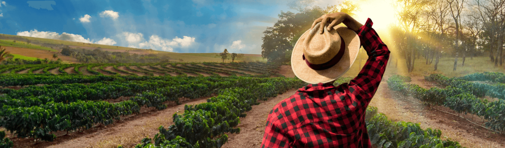 Why you should consider becoming a farmer in South America