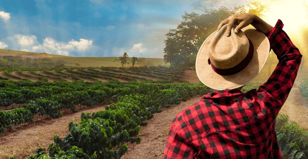 Why you should consider becoming a farmer in South America