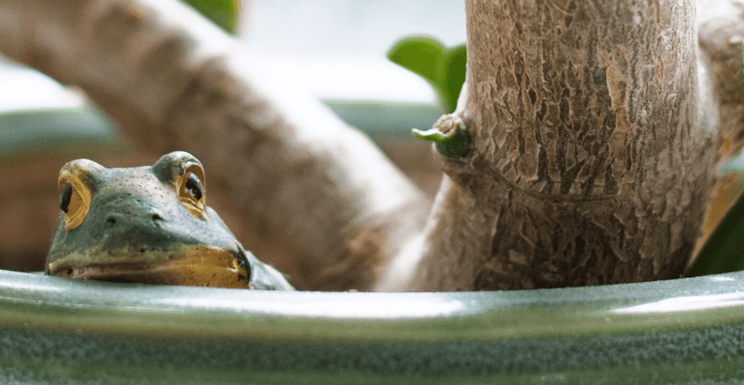 Your government is telling you to become a perpetual traveler