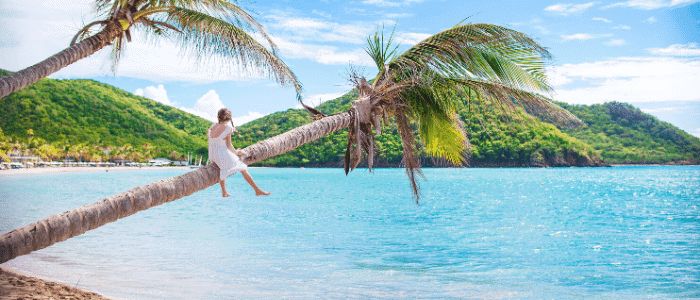 Antigua and Barbuda Passport - A picture of a women sitting on a palm tree leaning beside the beach